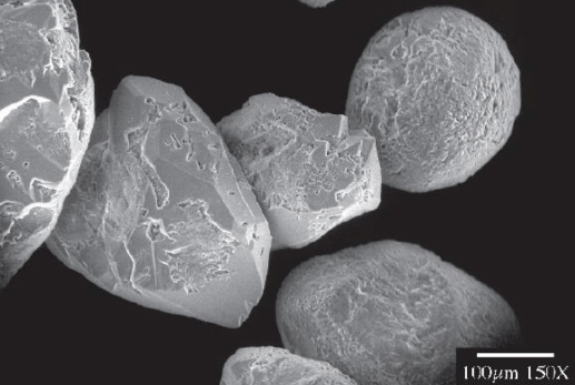 Magnified image of several Ottowa sand grains.