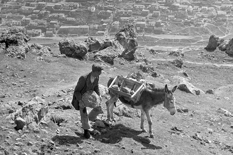 A man adds rocks to a box on top of a donkey.