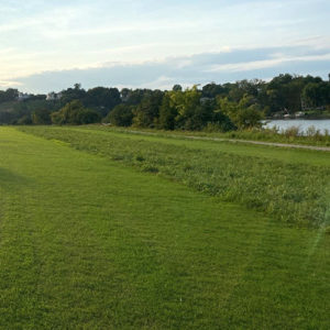 Grassy area beside a body of water.