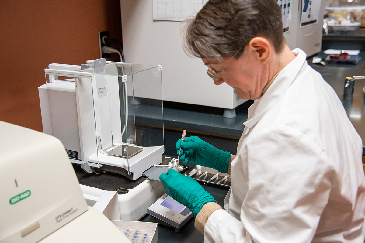 Stacy Taylor, a postdoctoral researcher in Jennifer DeBruyn's lab, studies soil samples inside a research lab.