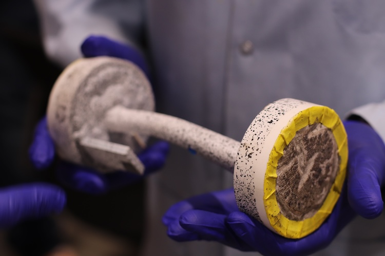 goat bone piece from Timothy Truster's lab